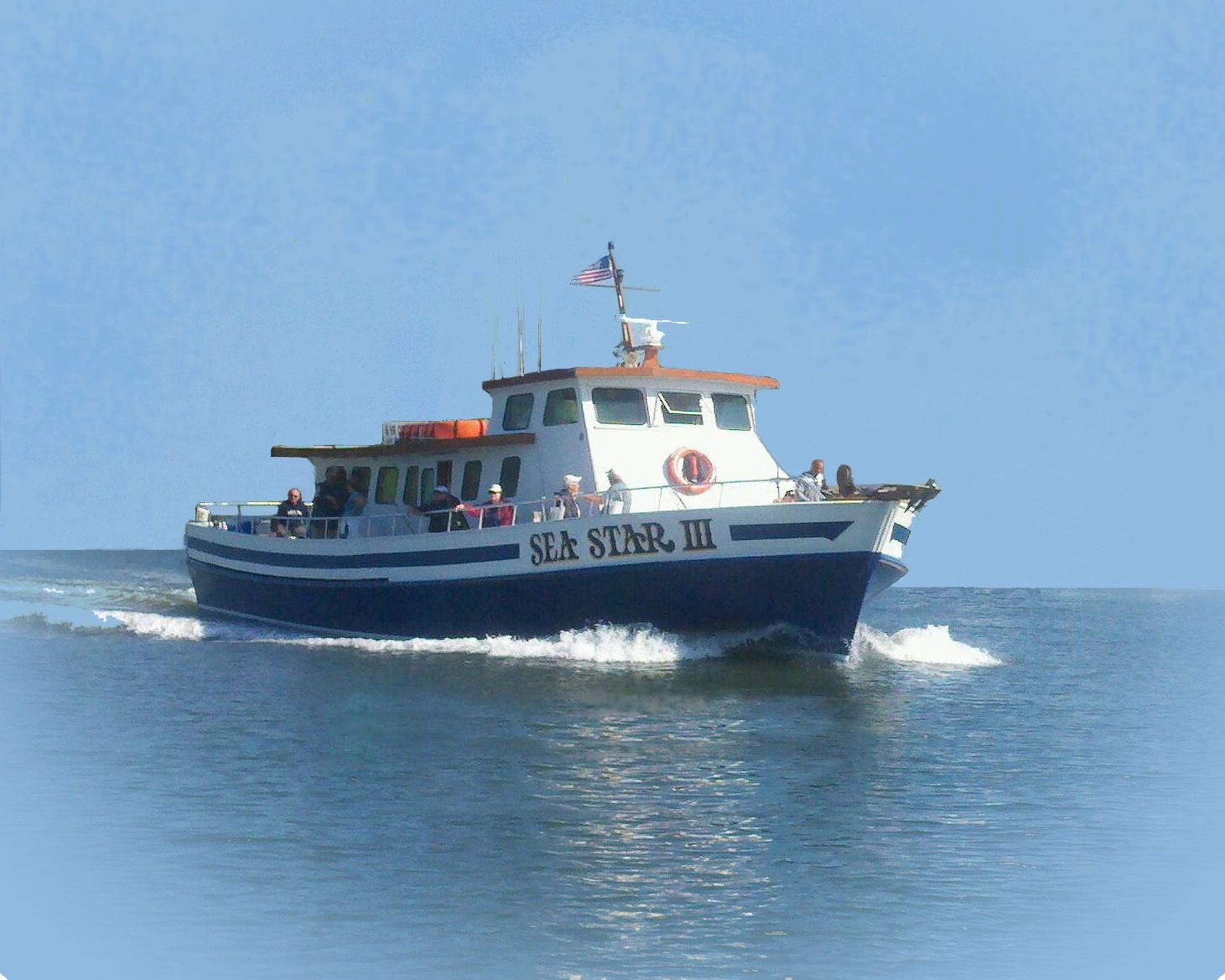 Atlantic Fishing Trips Cape May, NJ SEA STAR III Deep